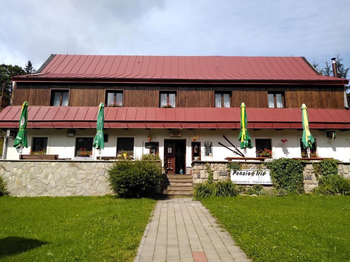 Penzion Iris Krkonose Горни-Маршов Экстерьер фото